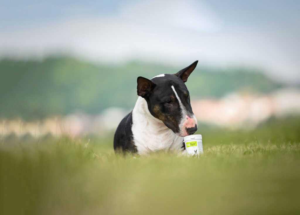 Do you know Giardia?