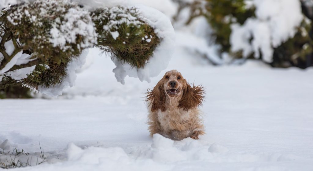 In winter, movement needs extra support